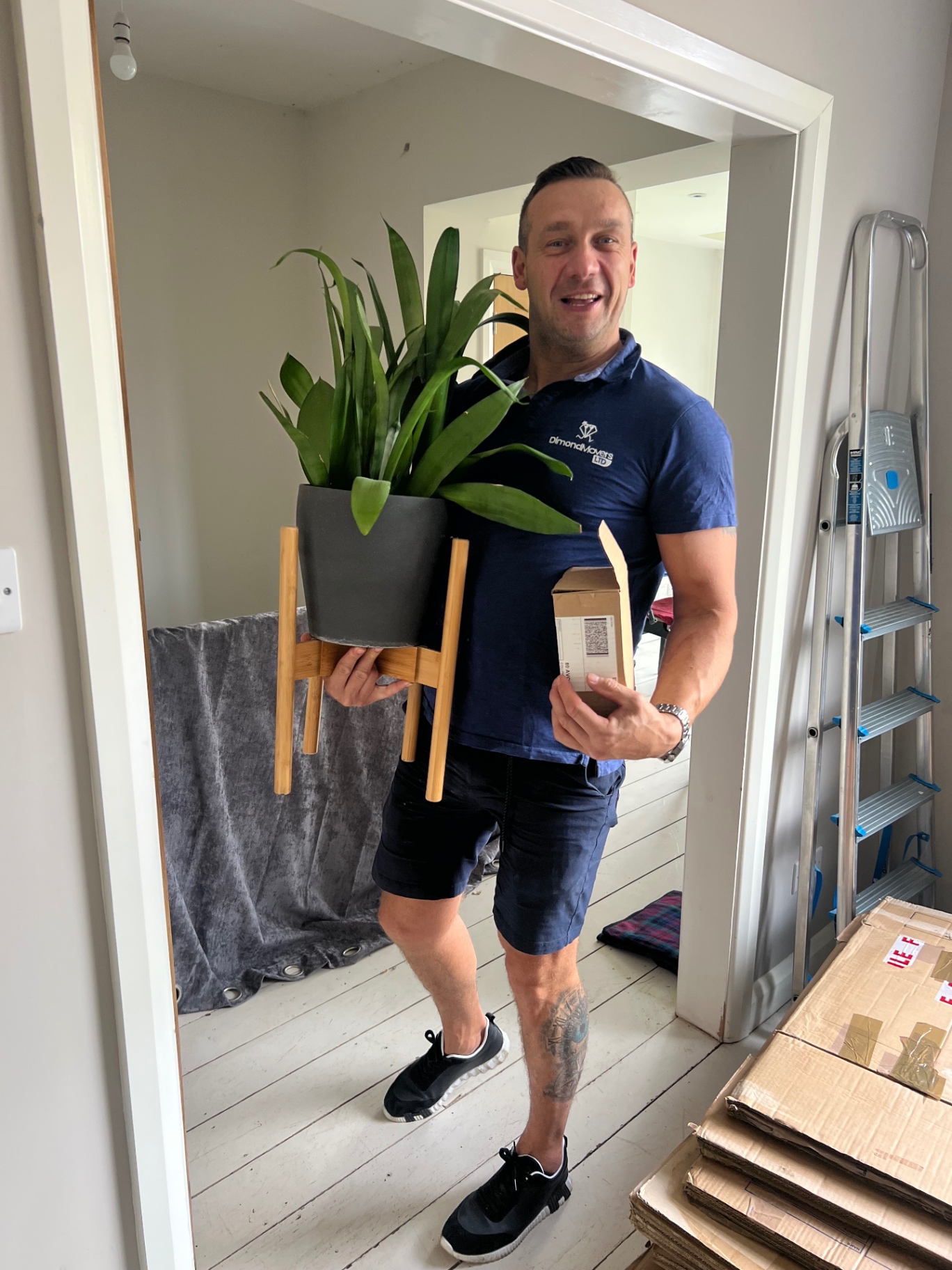 Bristol house removal careful handling of a houseplant