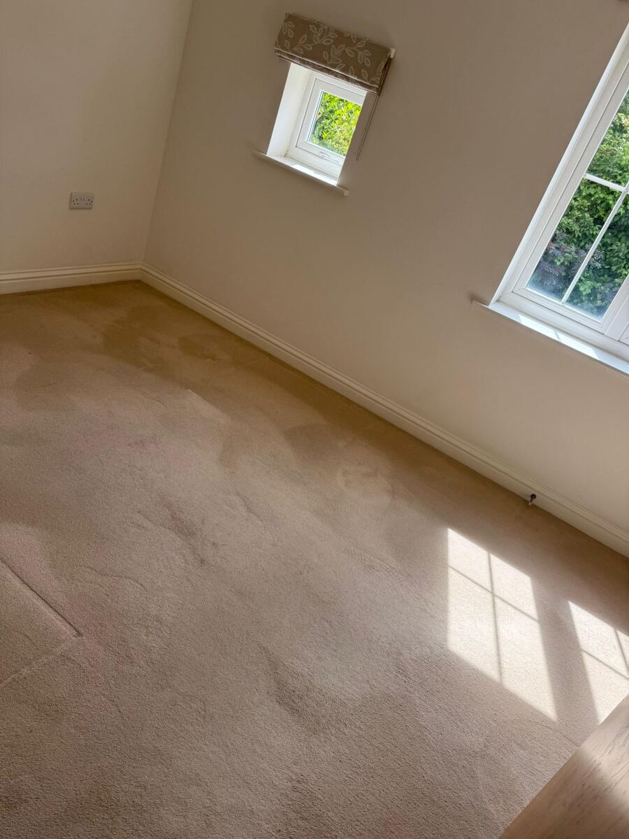 Deep Cleaning professional cleaning result